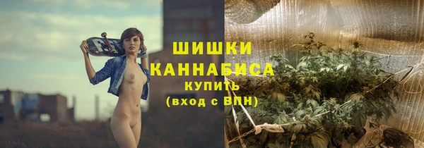 крисы Медногорск