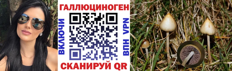 shop какой сайт  Нижний Ломов  Псилоцибиновые грибы прущие грибы  где можно купить наркотик 